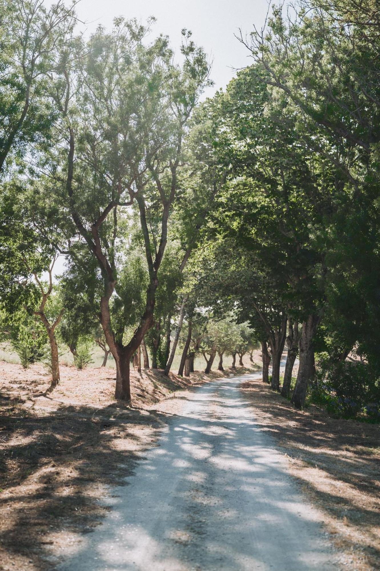 Casa De Calhariz Βίλα Σεσίμπρα Εξωτερικό φωτογραφία